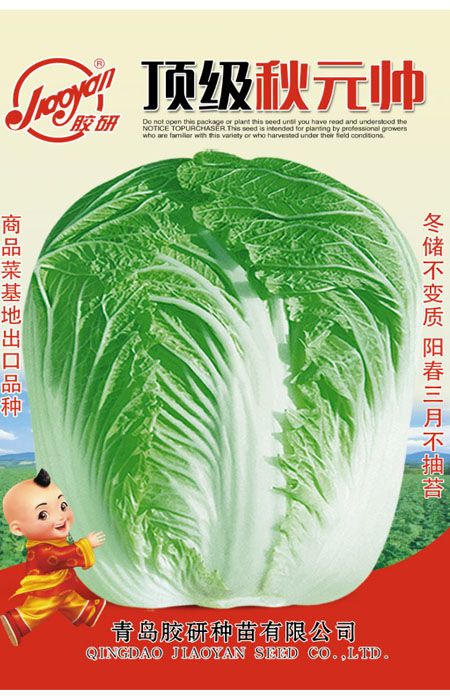顶级秋元帅——秋播白菜